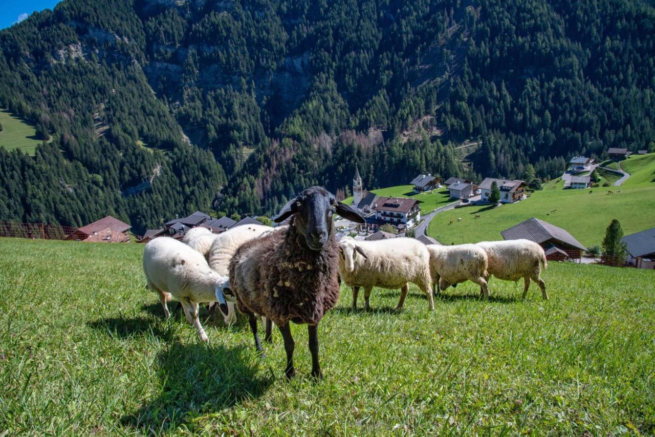 Agriturismo Apartments Tuene Ortisei Exteriör bild